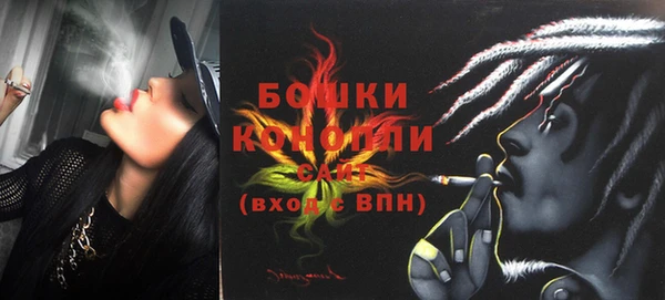 гашик Козловка