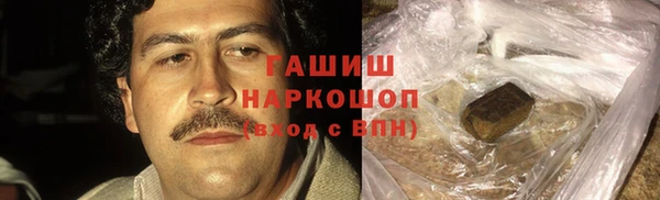 гашик Козловка
