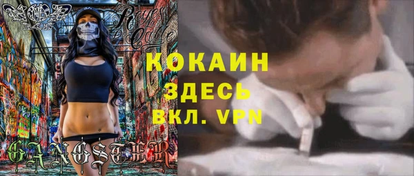 гашик Козловка
