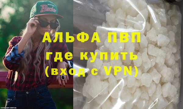 гашик Козловка