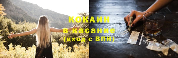 гашик Козловка