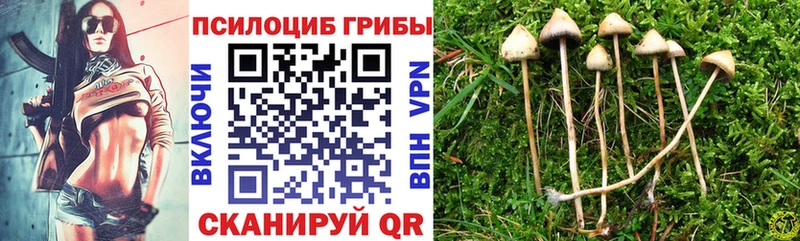 Псилоцибиновые грибы ЛСД  Купить где  Спасск-Дальний 